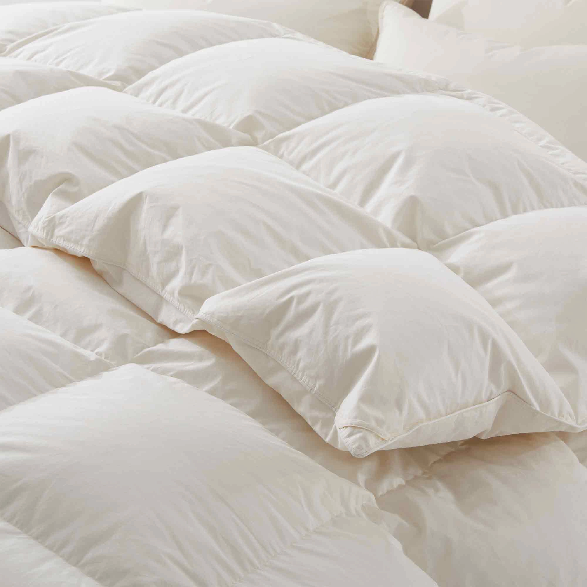 Puredown Selected Heavyweight Winter Down Comforter with 100% Organic Cotton Shell