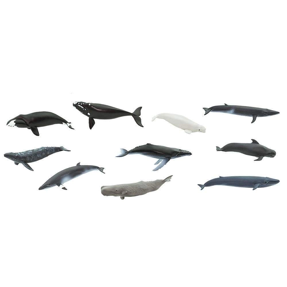 Safari Ltd. - Whales TOOB - contains 10 Mini Figurines