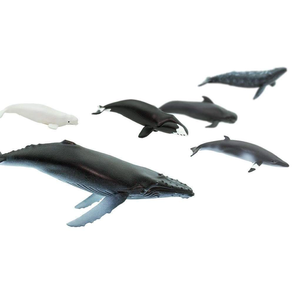 Safari Ltd. - Whales TOOB - contains 10 Mini Figurines