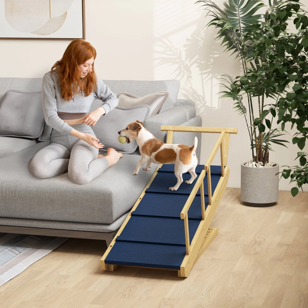 212 Main Paw Hut Adjustable Height Dog Ramp with Non-Slip Mat for All Dogs