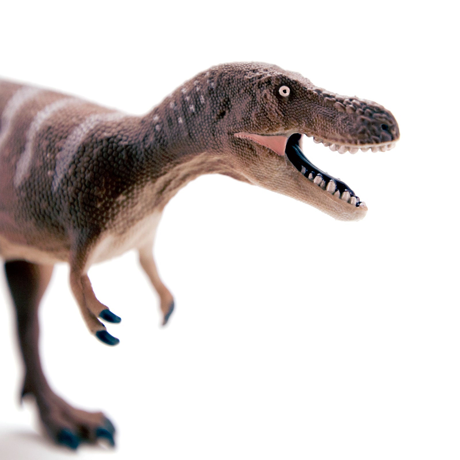 Safari Ltd. - Dino Dana Nanotyrannus Kids Prehistoric/Dinosaur Toy Figure