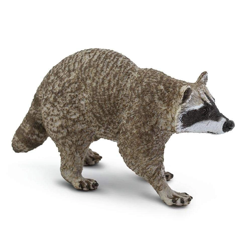 Safari Ltd. - Raccoon Kids Toy Figure