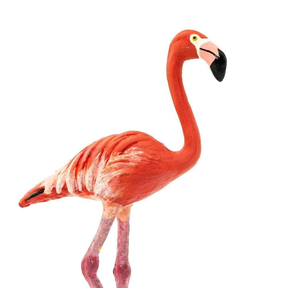 Safari Ltd. - Flamingo Kids Toy Figure