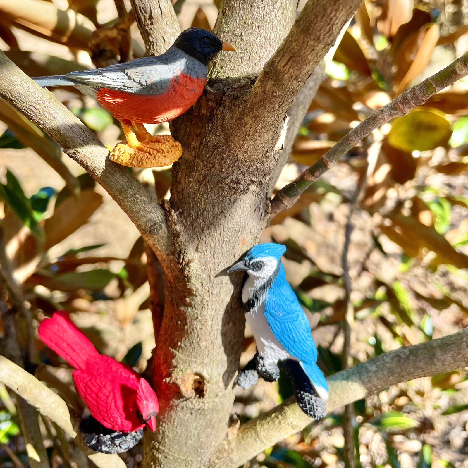 Safari Ltd. - Backyard Birds TOOB - contains 7 Mini Figurines