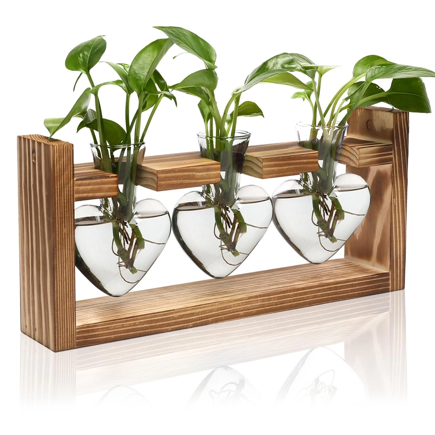 GBruno Heart-Shaped Plant Propagation Station