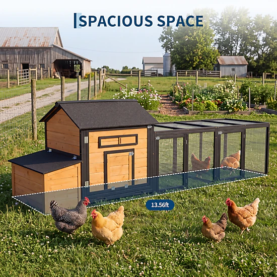 BebreezChic Large Wooden Chicken Coop for 3-5 Chickens – Elevated Hen ...