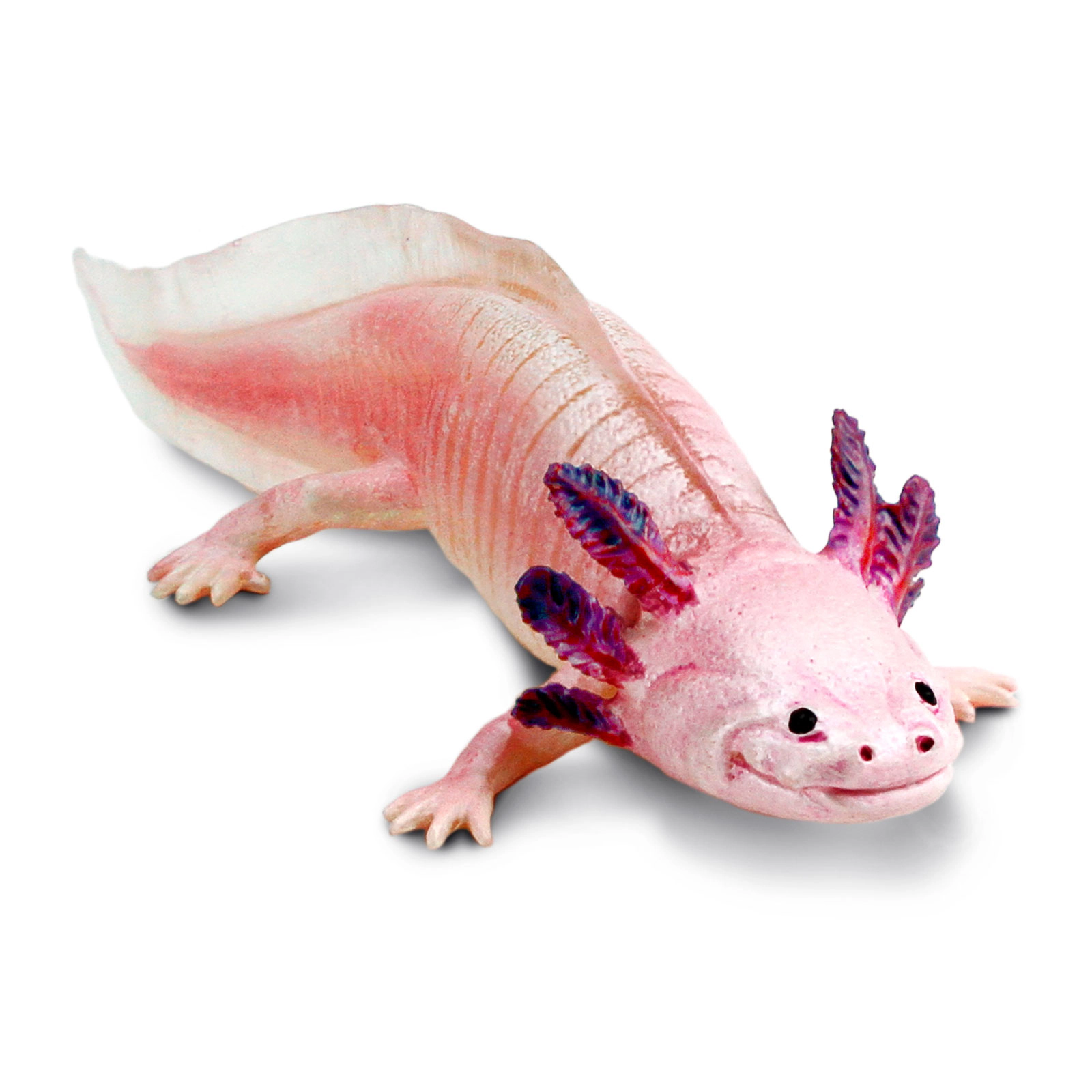 Safari Ltd. - Axolotl Kids Toy Figure