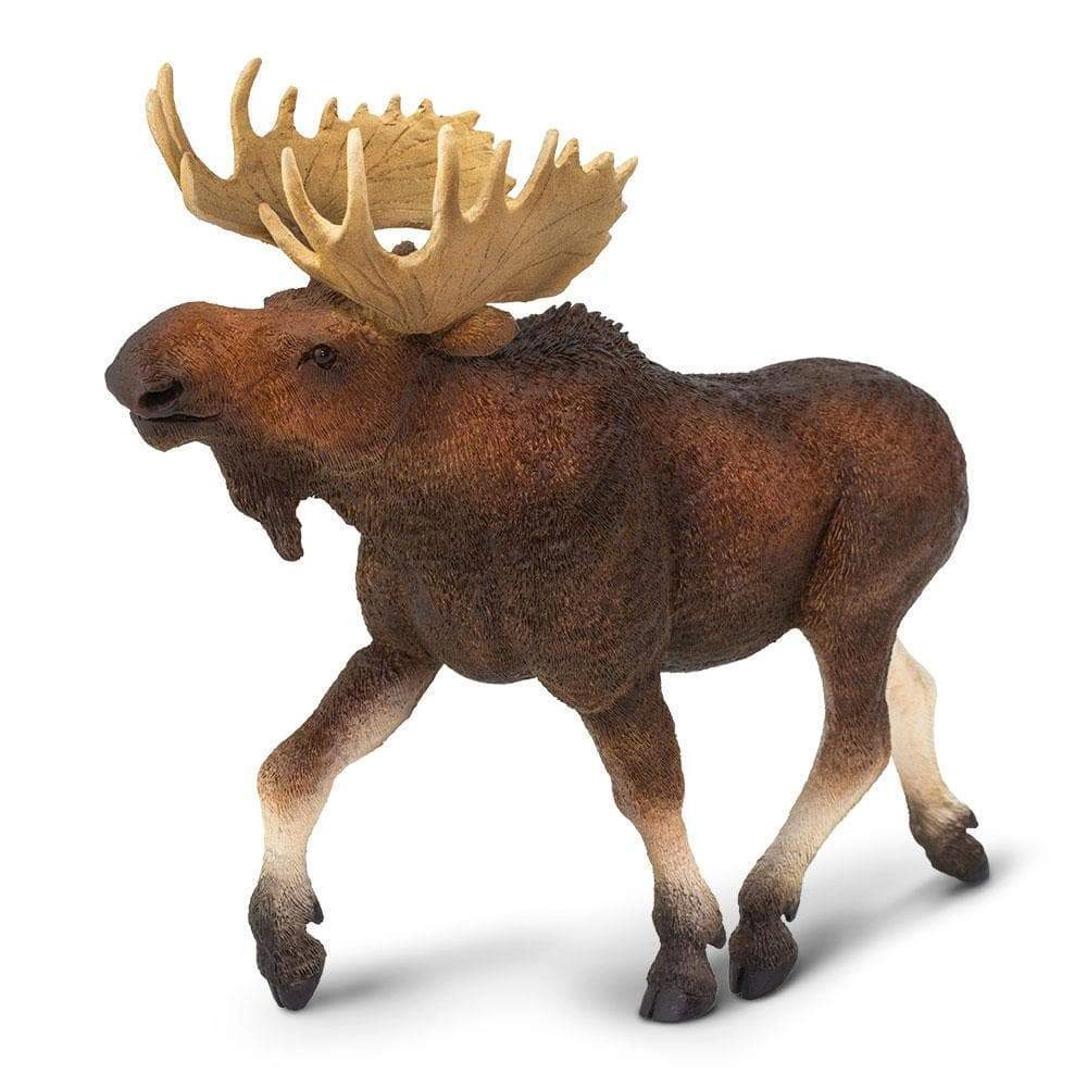 Safari Ltd. - Moose Kids Toy Figure