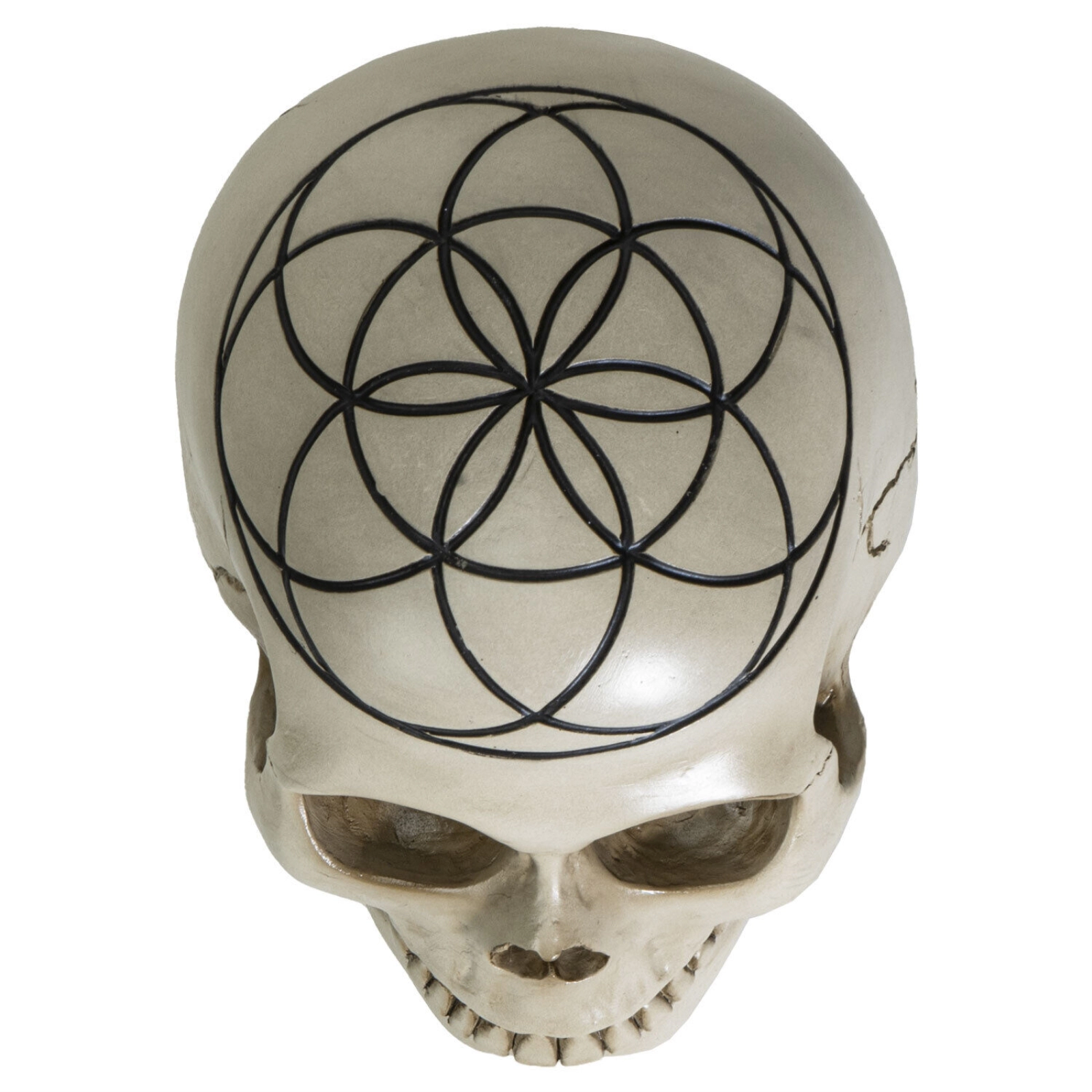 Pacific Giftware Sacred Geometry Seed of Life Human Skull Figurine 6.25 inch