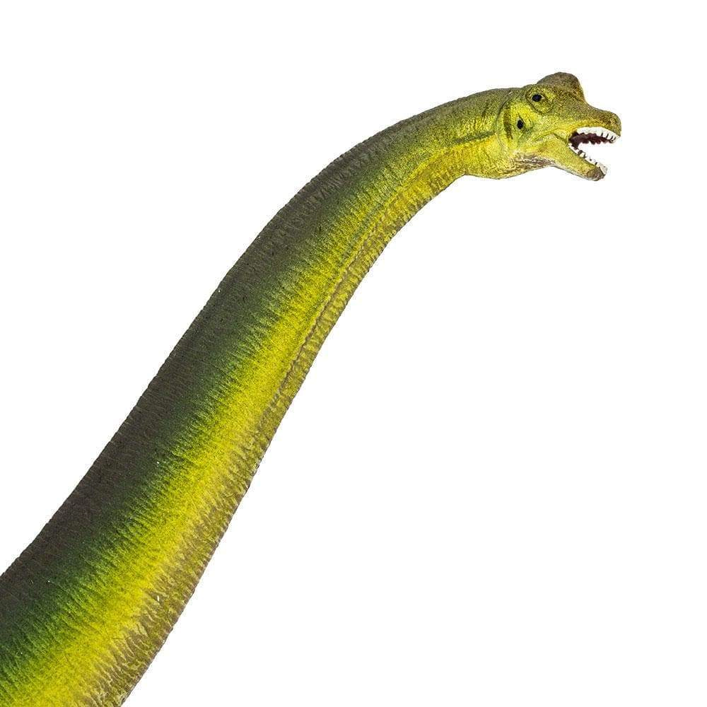 Safari Ltd. - Brachiosaurus Kids Prehistoric/Dinosaur Toy Figure