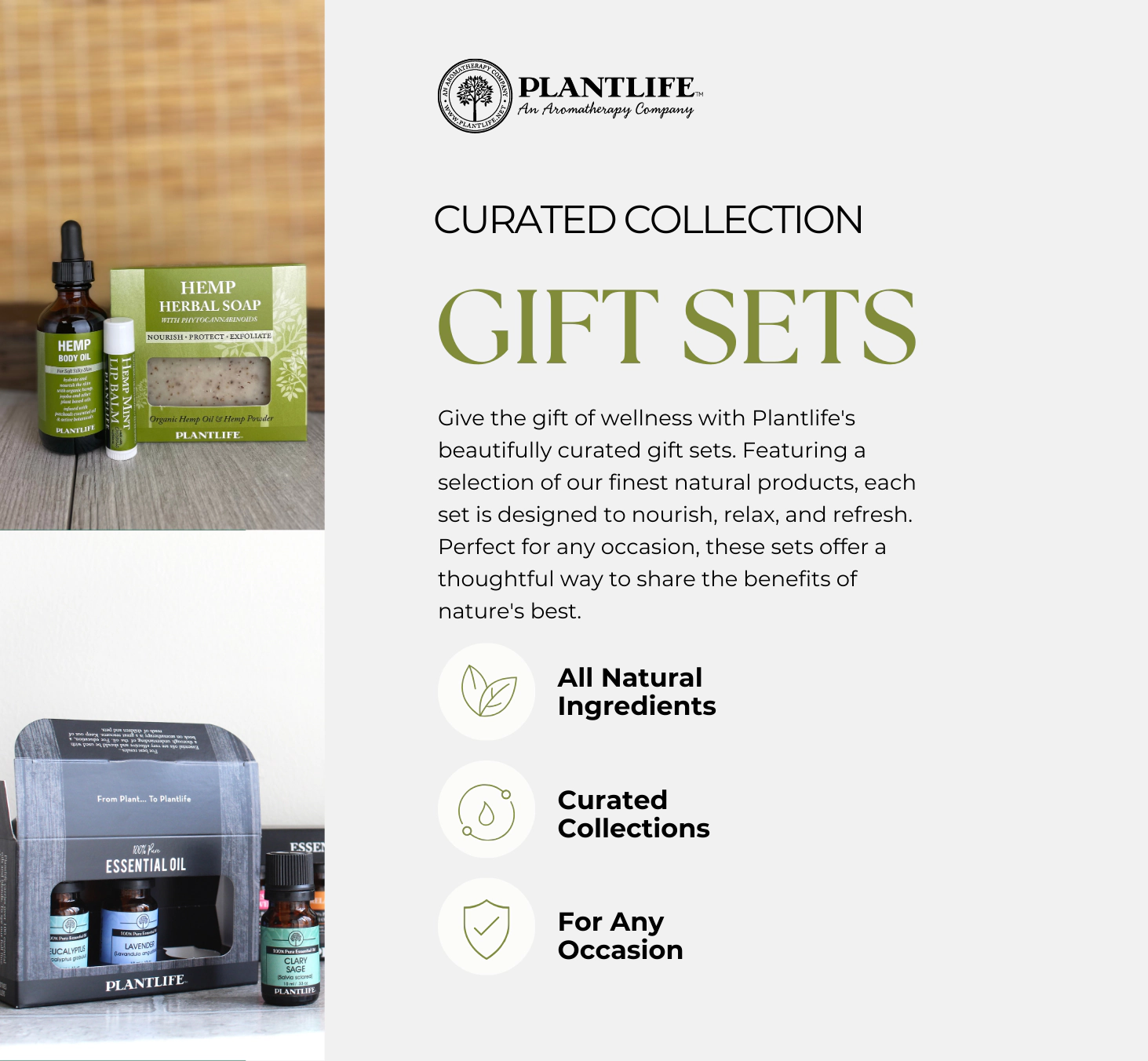 Plantlife Holly Jolly Hemp Body Care Gift Set