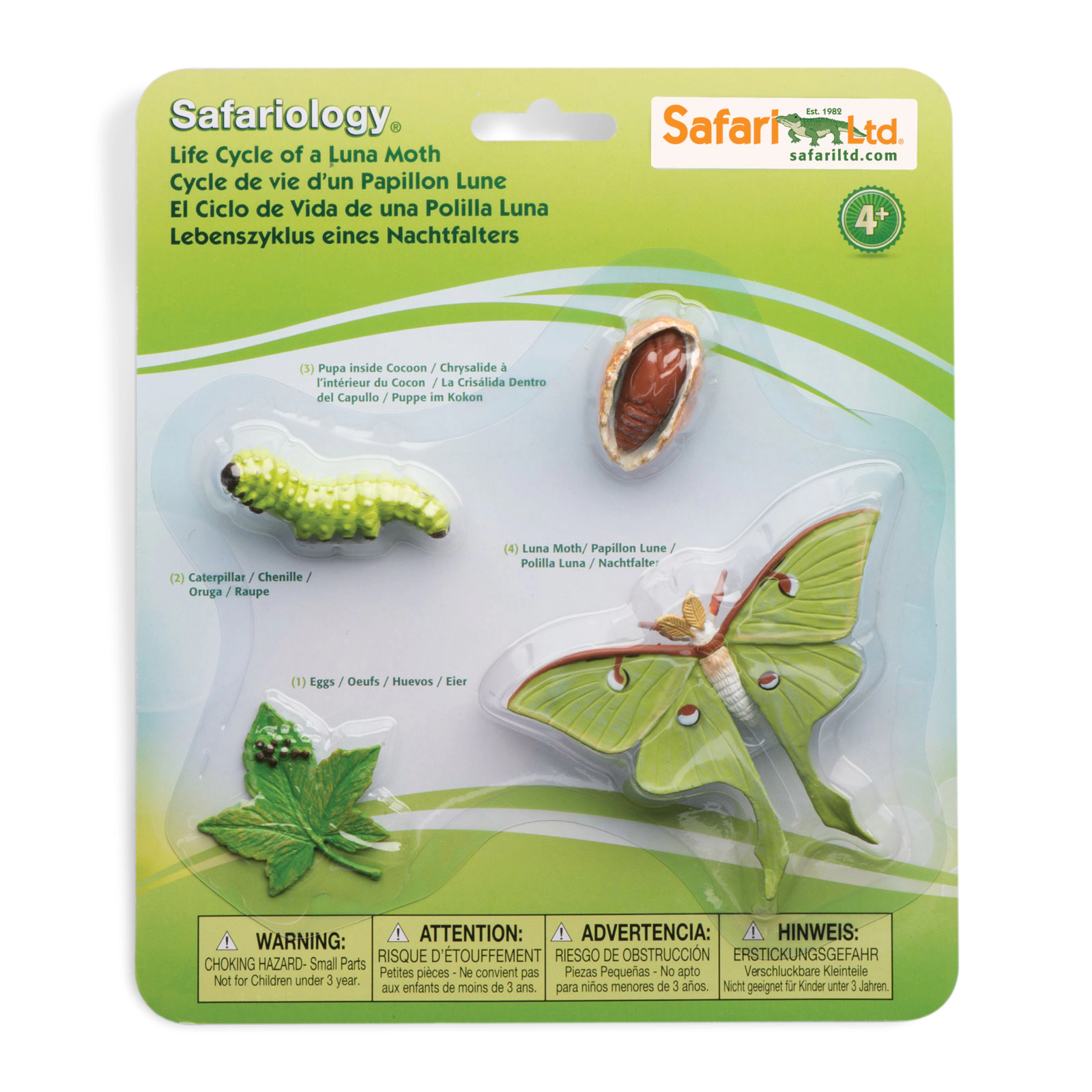 Safari Ltd. - Life Cycle of a Luna Moth - Miniature Lifecycle Collection Toy