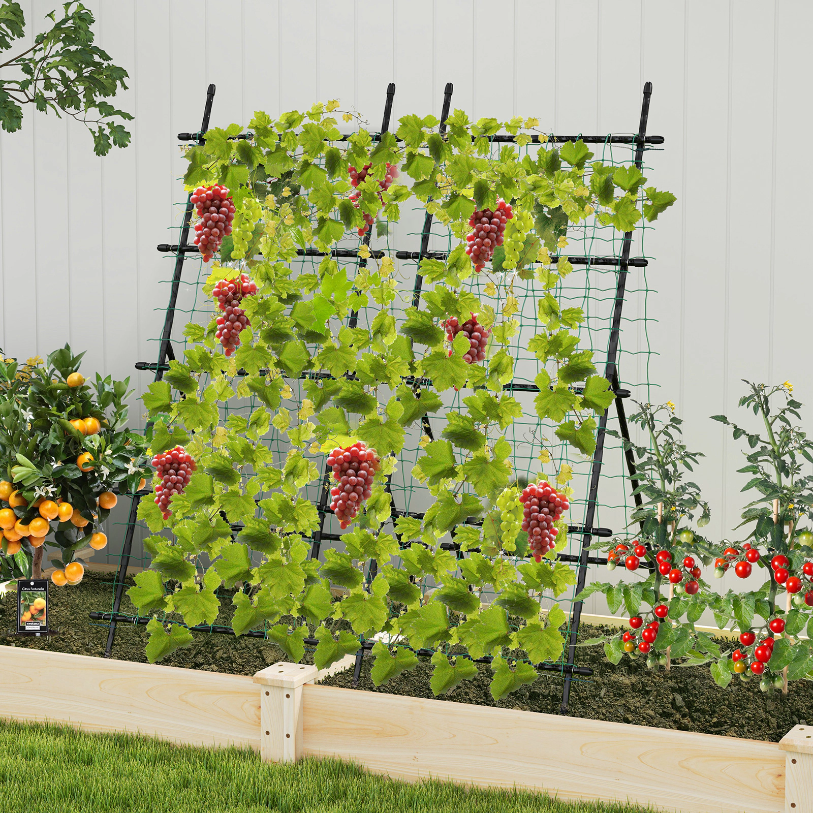 LJG 74 Inch Tall Garden Trellis for Flower Vine Vegetable Fruit Pea