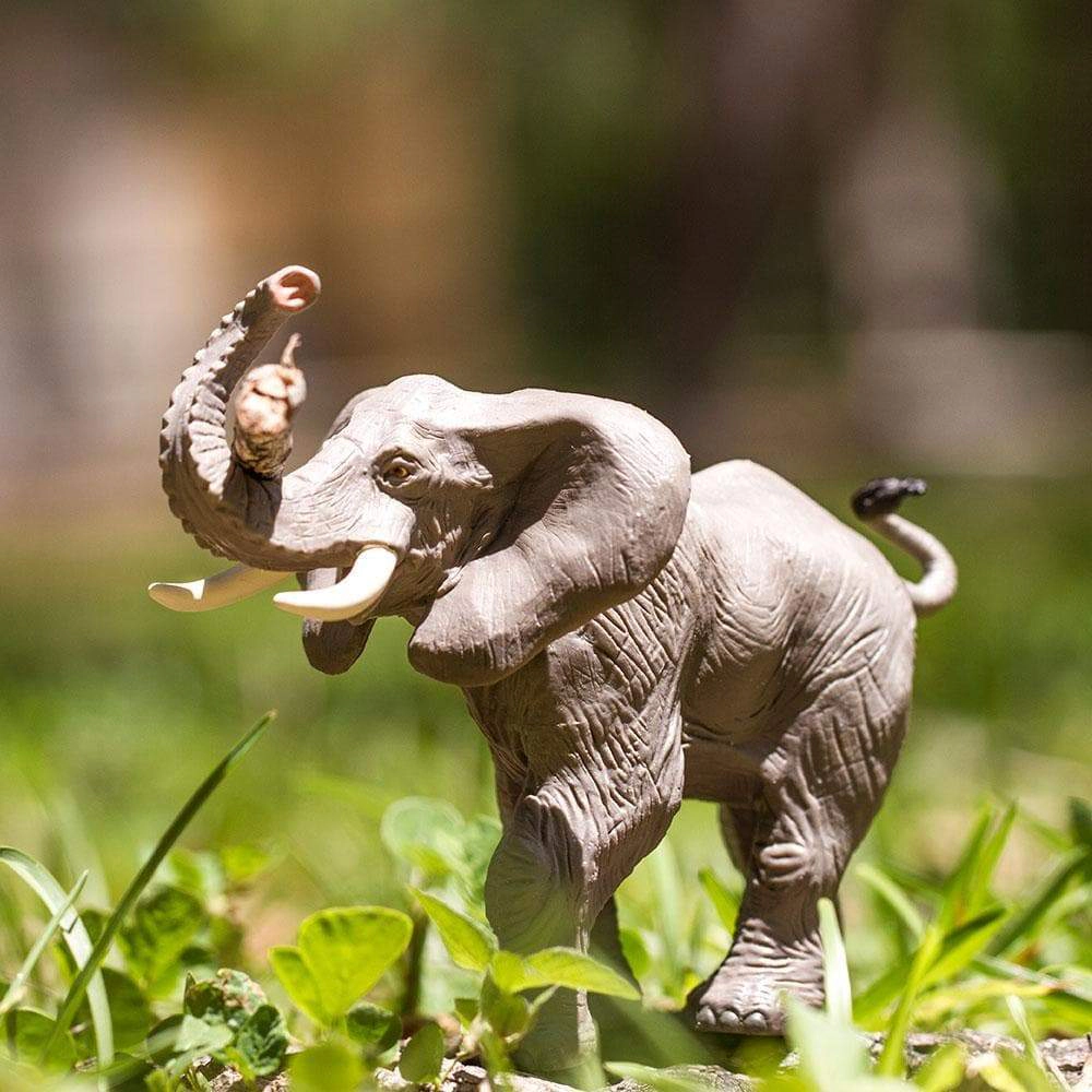 Safari Ltd. - African Elephant Kids Toy Figure