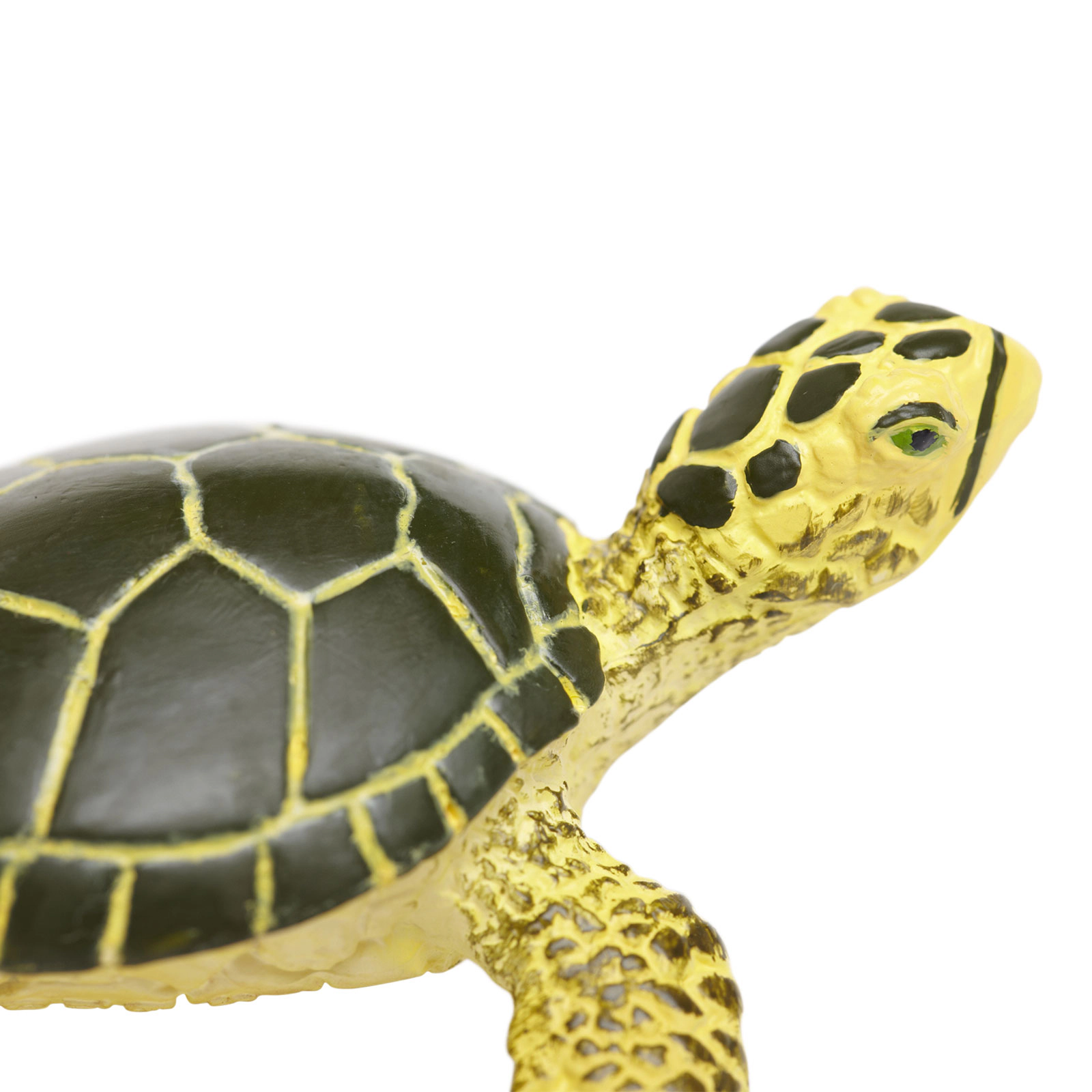 Safari Ltd. - Baby Green Sea Turtle Kids Toy Figure