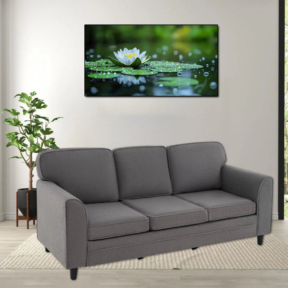 Hivvago 3-Seater Upholstered Sofa in Teddy Velvet with Plush Back Cushions