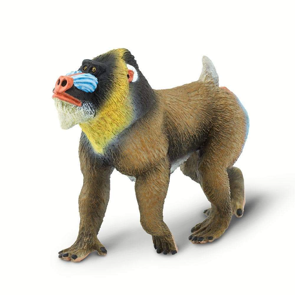 Safari Ltd. - Mandrill Kids Toy Figure