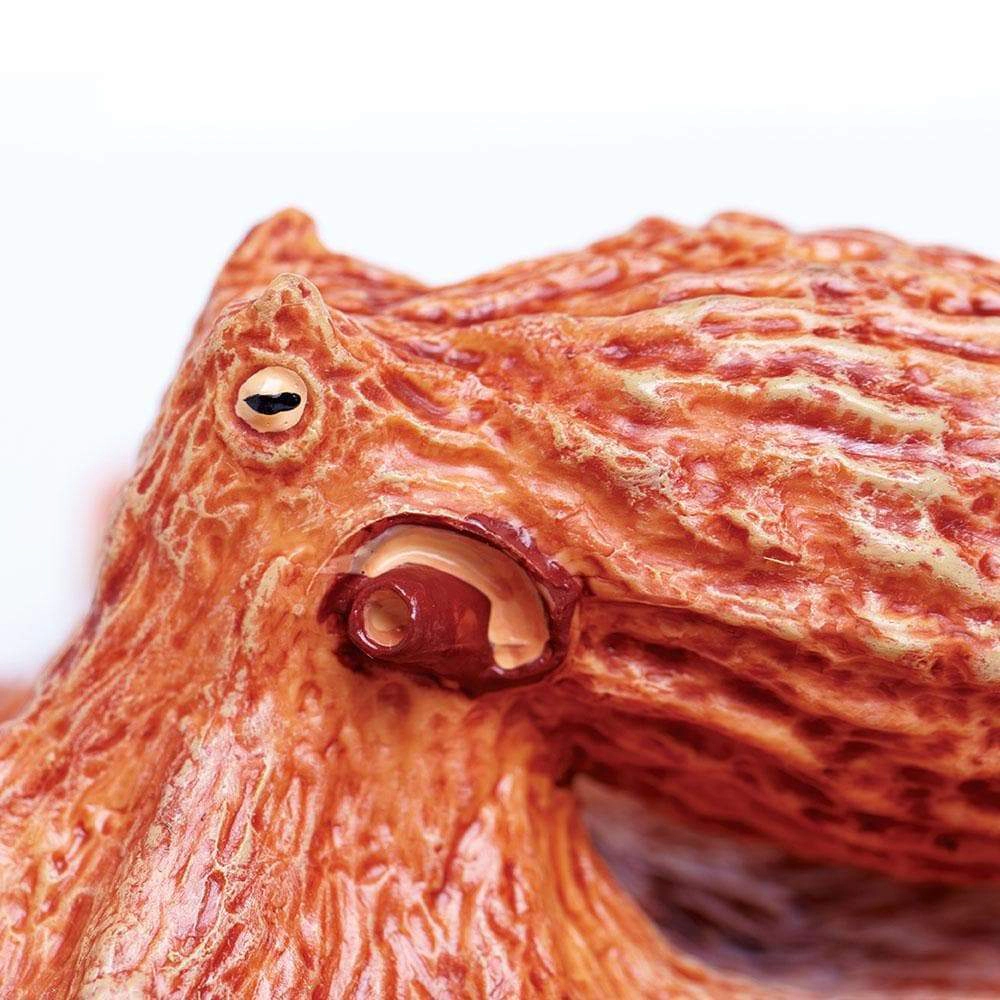 Safari Ltd. - Giant Pacific Octopus Kids Toy Figure