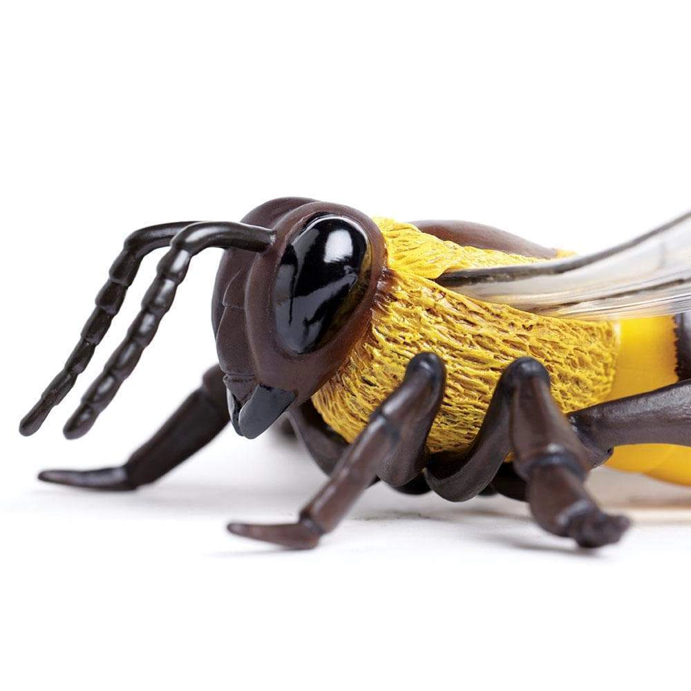 Safari Ltd. - Honey Bee Kids Toy Figure