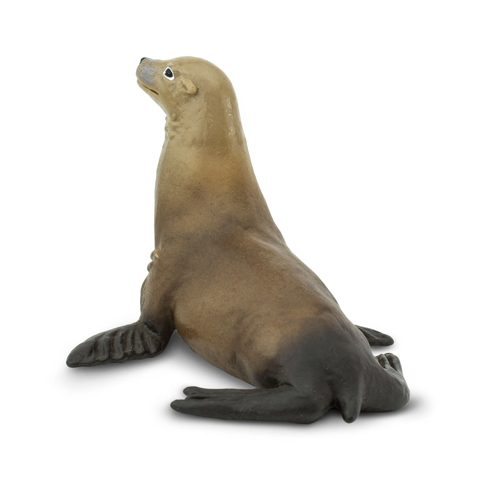 Safari Ltd. - Sea Lion Kids Toy Figure