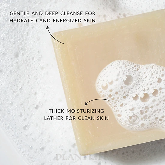 Plantlife Rosemary Sage Aromatherapy Herbal Soap