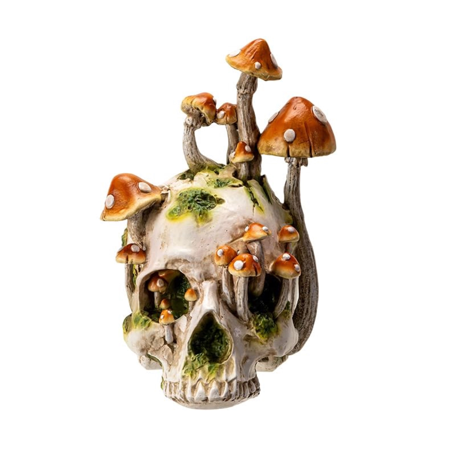 Pacific Giftware Large Human Skull with Mushrooms Growing Fungi Halloween Figurine Decoration 11.8 inch