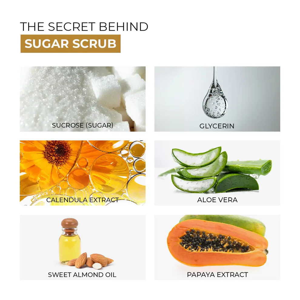 Skin Centrick Creamy Sugar Body Scrub, Gentle Exfoliation with Sweet Almond Oil and Aloe Vera for Rough, Dry Skin, 265 g