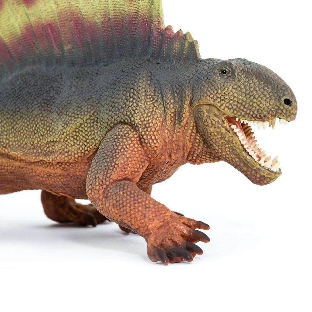 Safari Ltd. - Dimetrodon Kids Prehistoric/Dinosaur Toy Figure