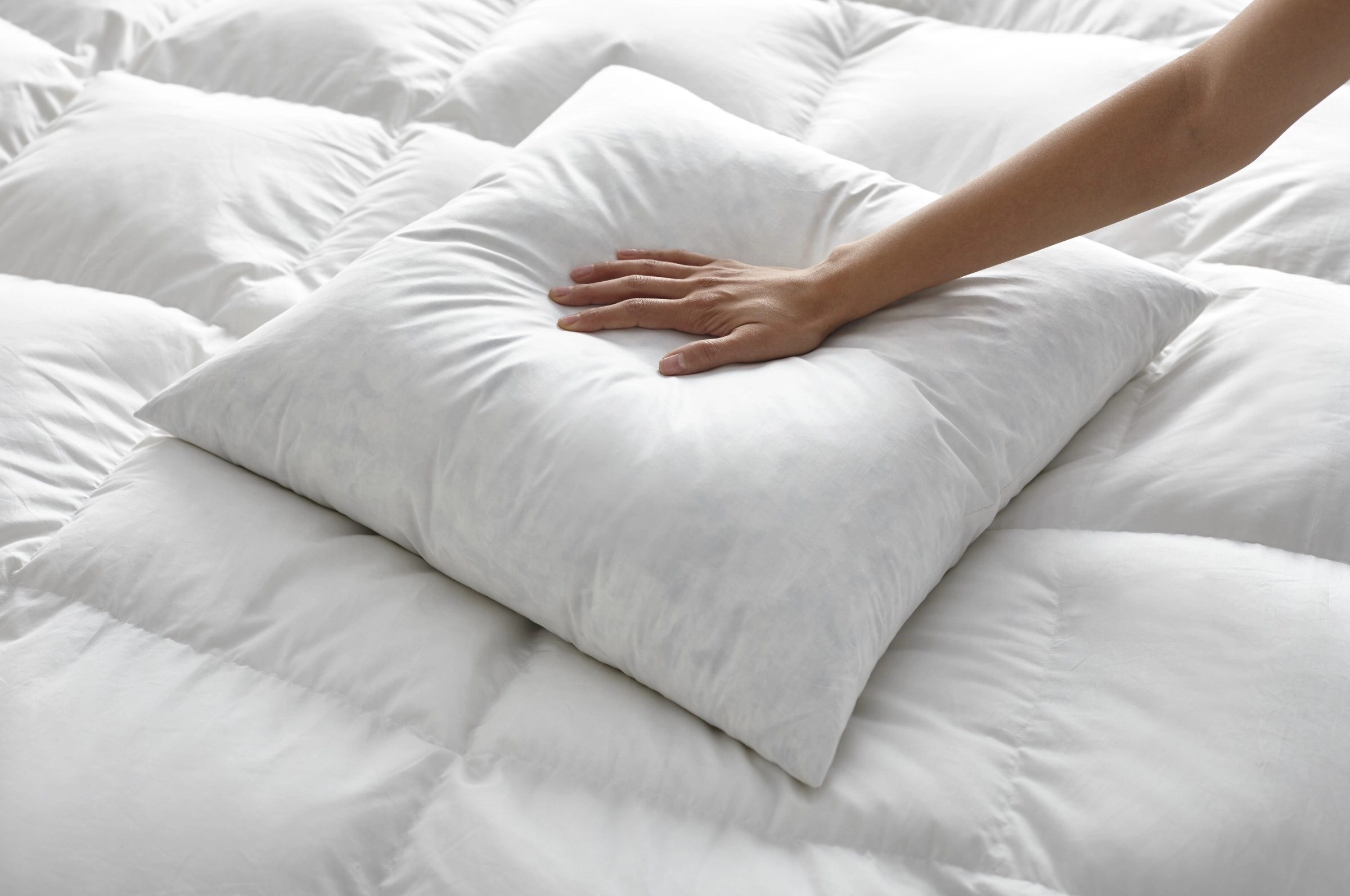 ComfyDown Elysian 600 Fill Power Down Bed Pillow, 330 Thread Count