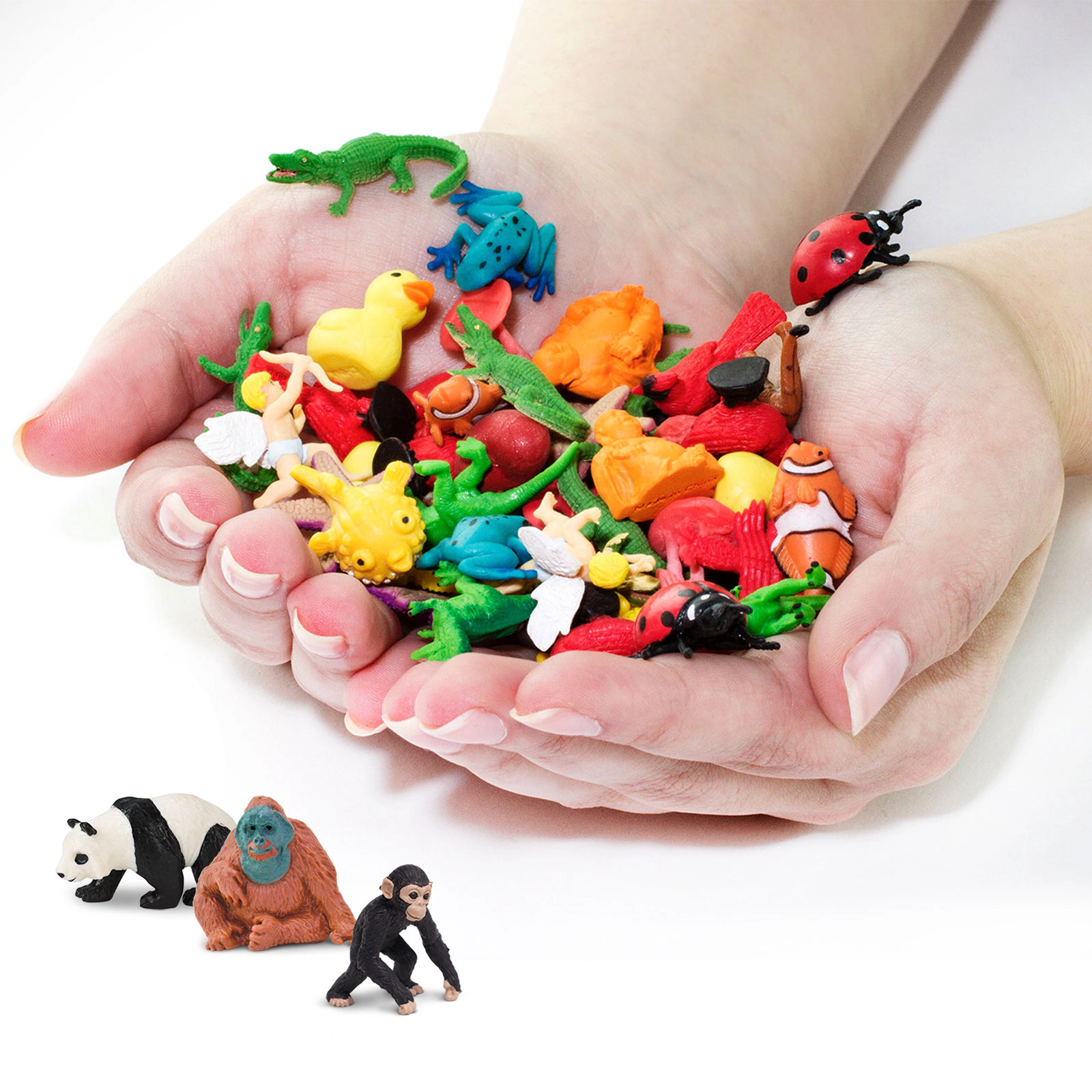 Safari Ltd. - Exotic Fun Pac - 8 Mini Toy Figurines for Kids