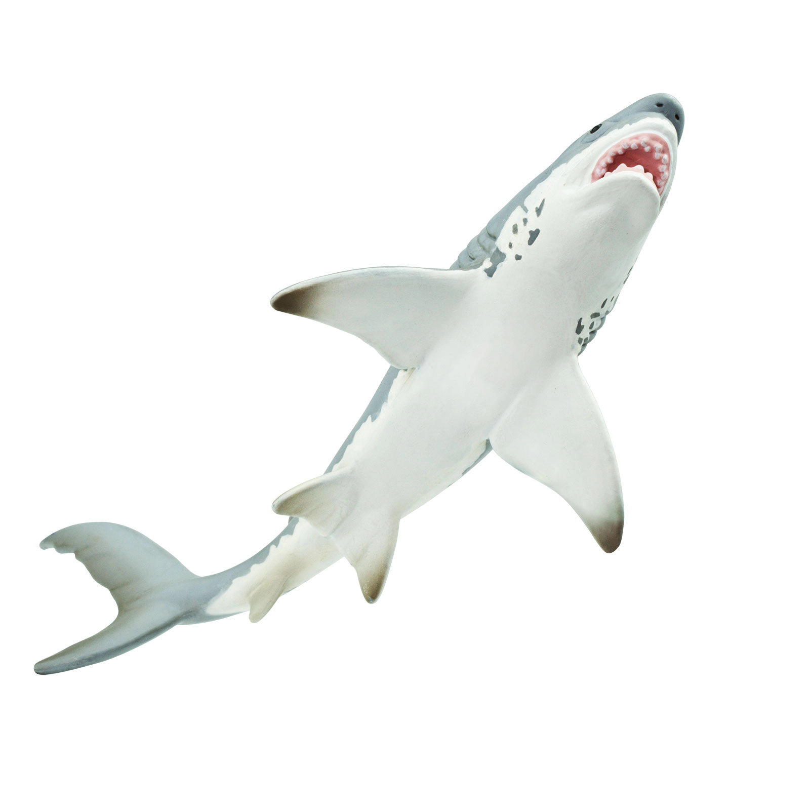 Safari Ltd. - Great White Shark Kids Toy Figure