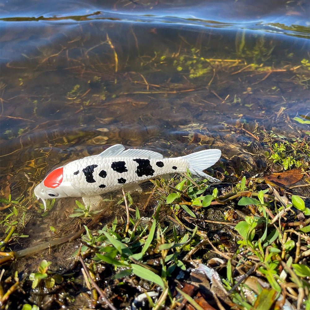 Safari Ltd. - Koi Fish - Tancho Kids Toy Figure