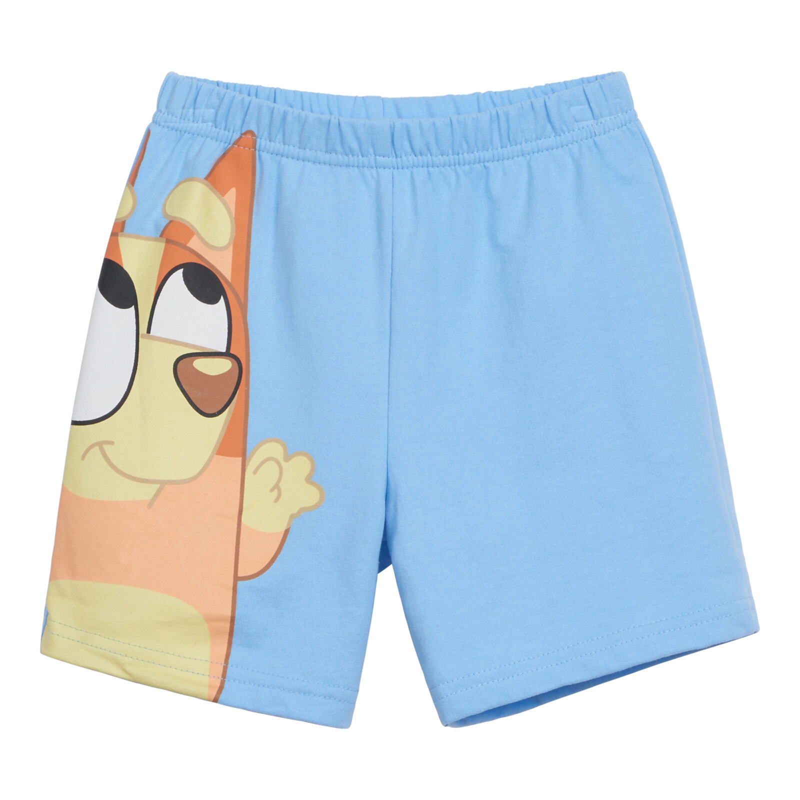 Bluey Boys' 2-Piece Hooded Tee and Shorts Set