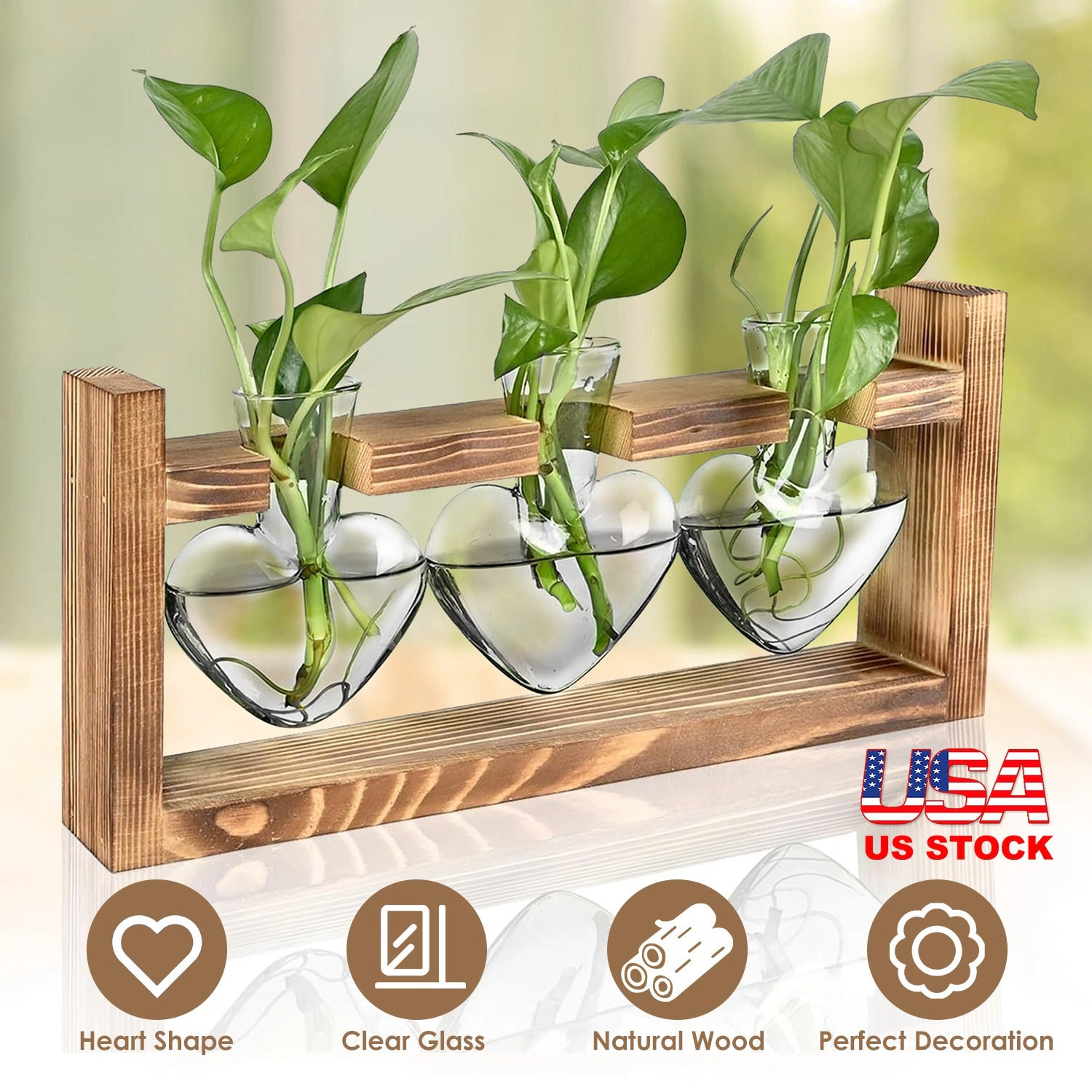 GBruno Heart-Shaped Plant Propagation Station