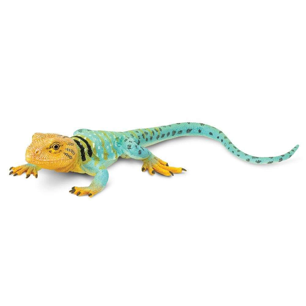 Safari Ltd. - Collared Lizard Kids Toy Figure