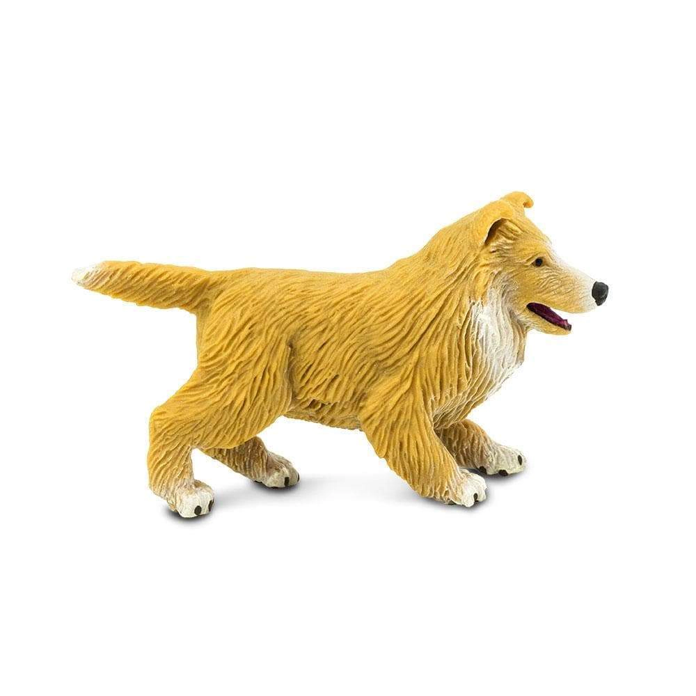 Safari Ltd. - Collie Puppy Kids Toy Figure