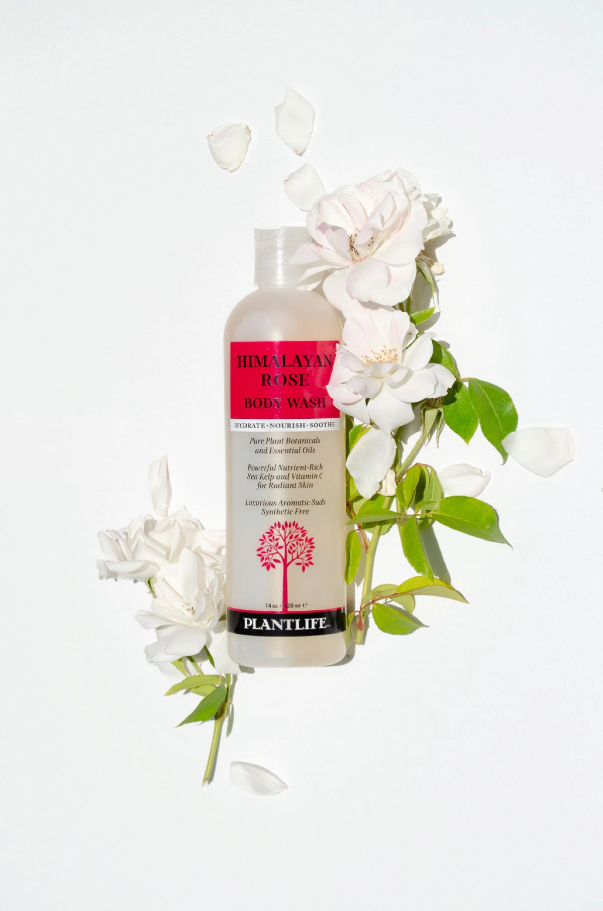 Plantlife Himalayan Rose Body Wash
