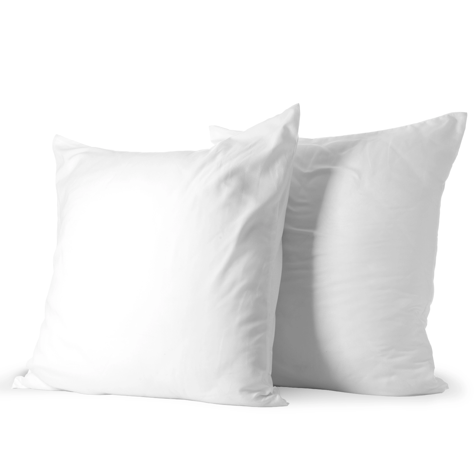 Cheer Collection 2 Pack Plush Down Alternative Throw Pillows with Removable Microfiber Covers