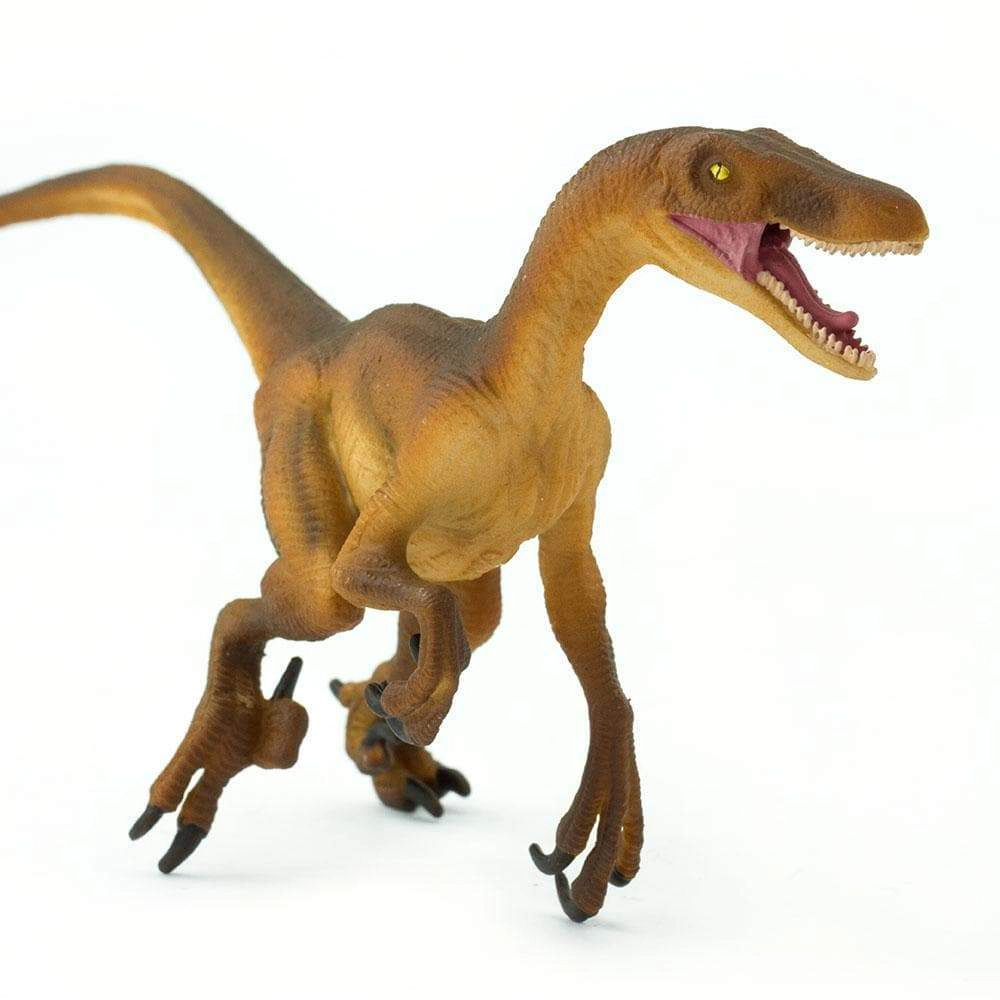 Safari Ltd. - Velociraptor Kids Prehistoric/Dinosaur Toy Figure