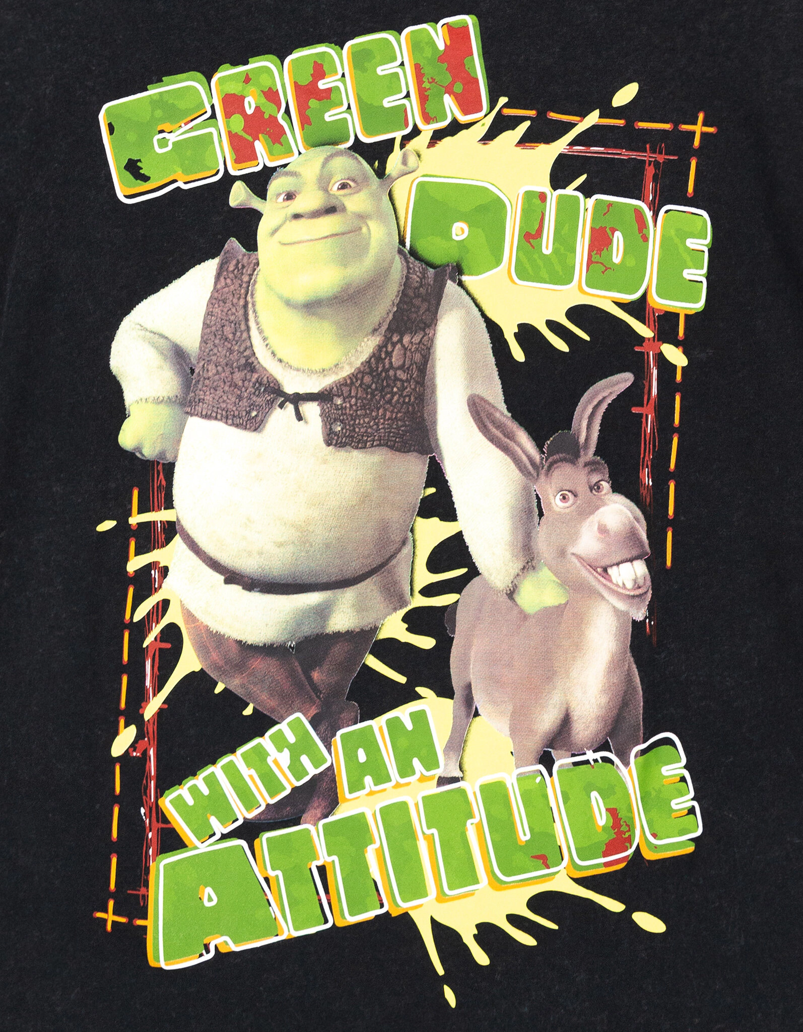 DreamWorks Shrek Matching Family Short Sleeve T-Shirt