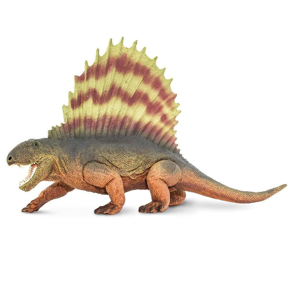 Safari Ltd. - Dimetrodon Kids Prehistoric/Dinosaur Toy Figure