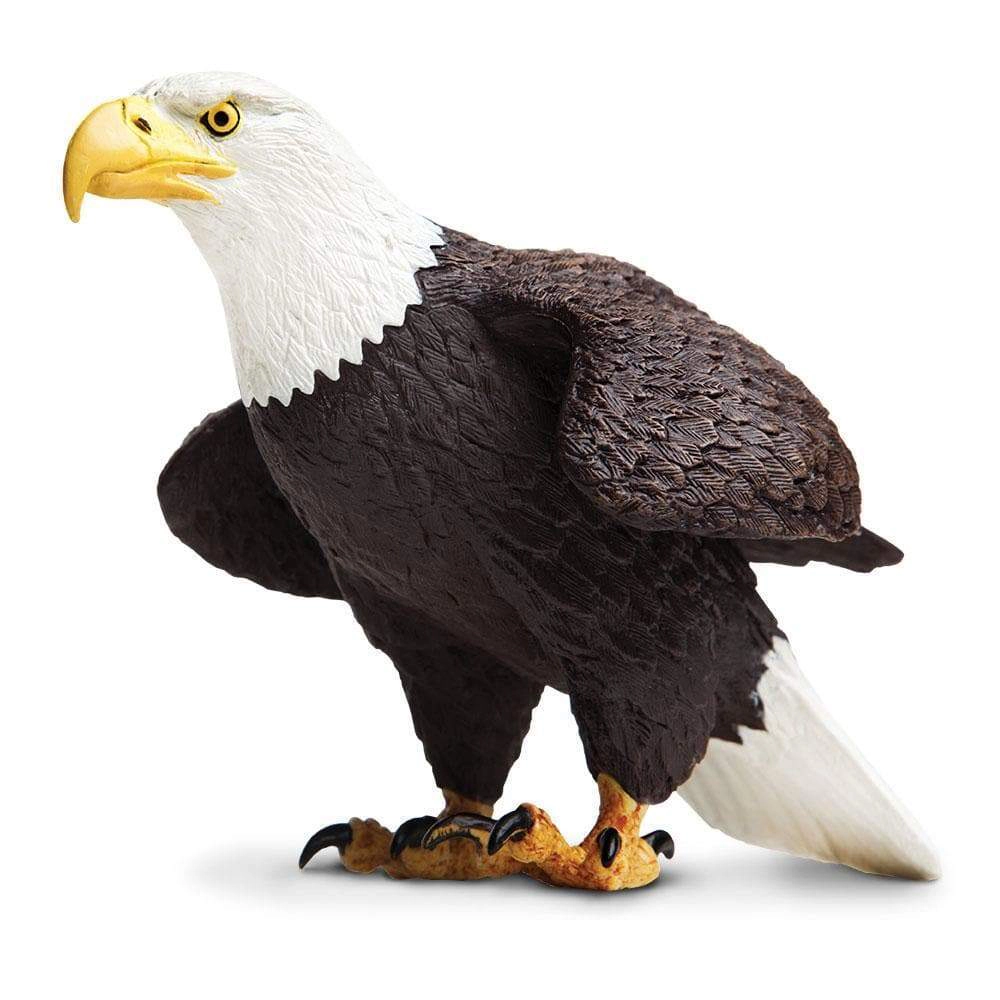 Safari Ltd. - Bald Eagle Kids Toy Figure
