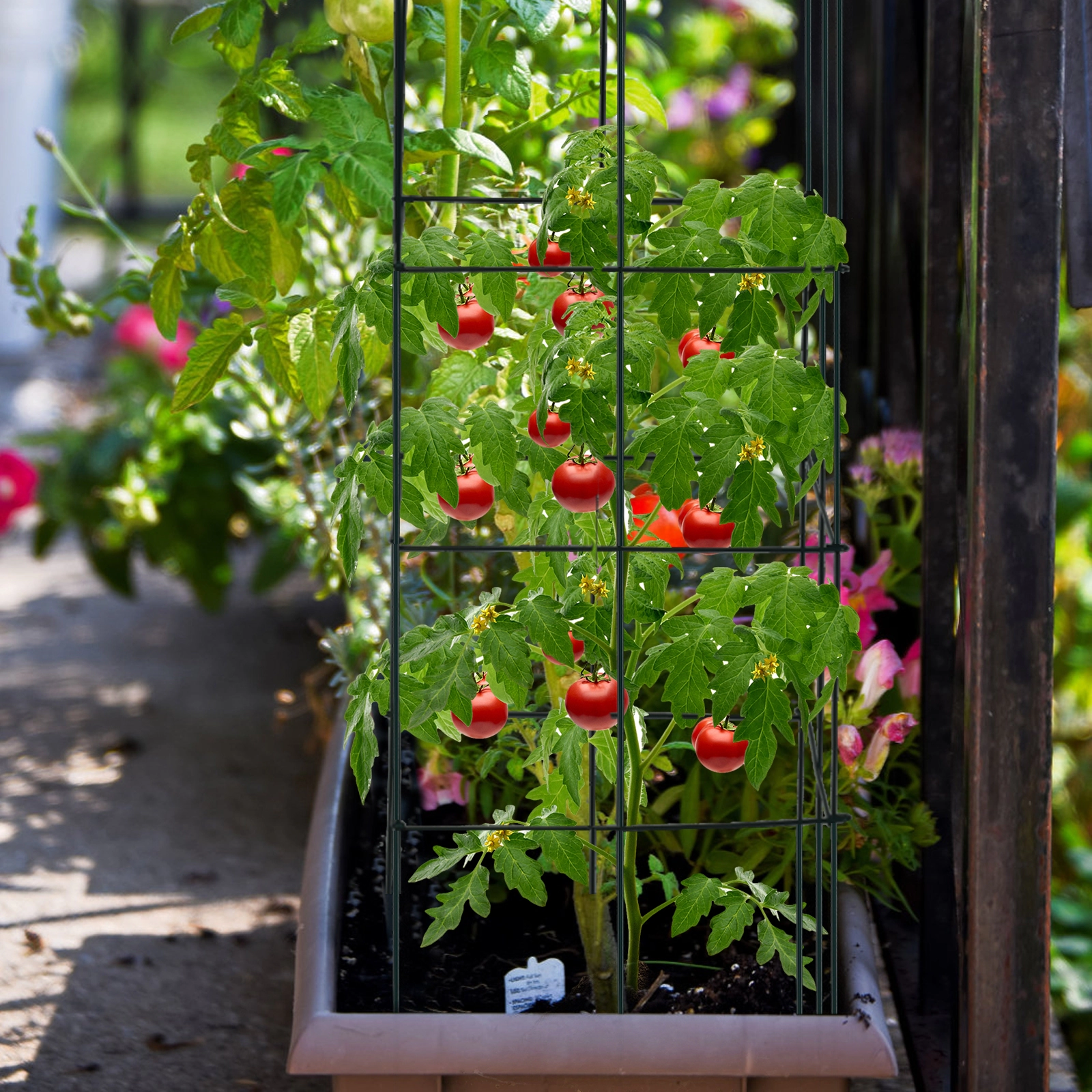 LJG 4 Pack Garden Trellis for Climbing Plants for Flower Vegetable