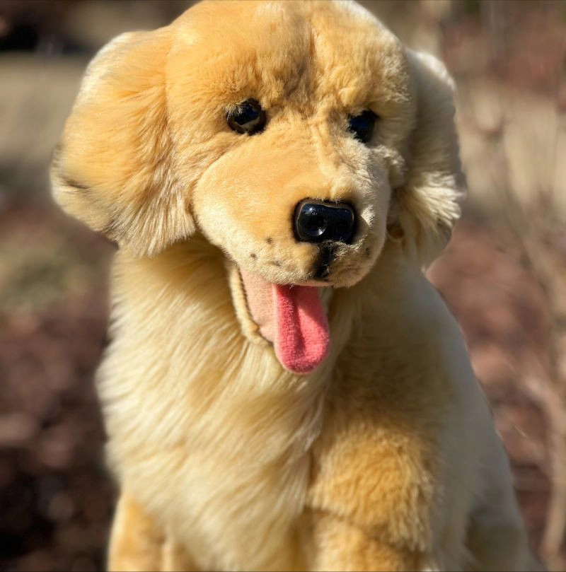 Auswella Plush® Golden Retriever Charlie® Plush