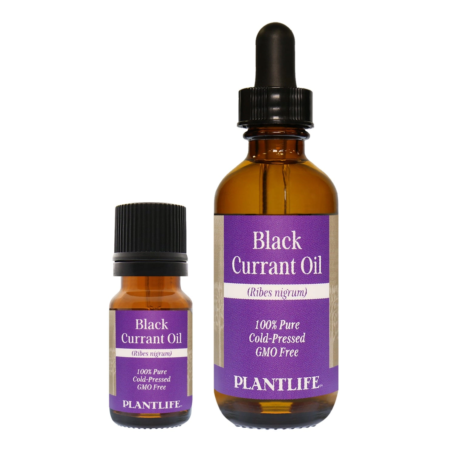 Plantlife Black Currant Carrier Oil