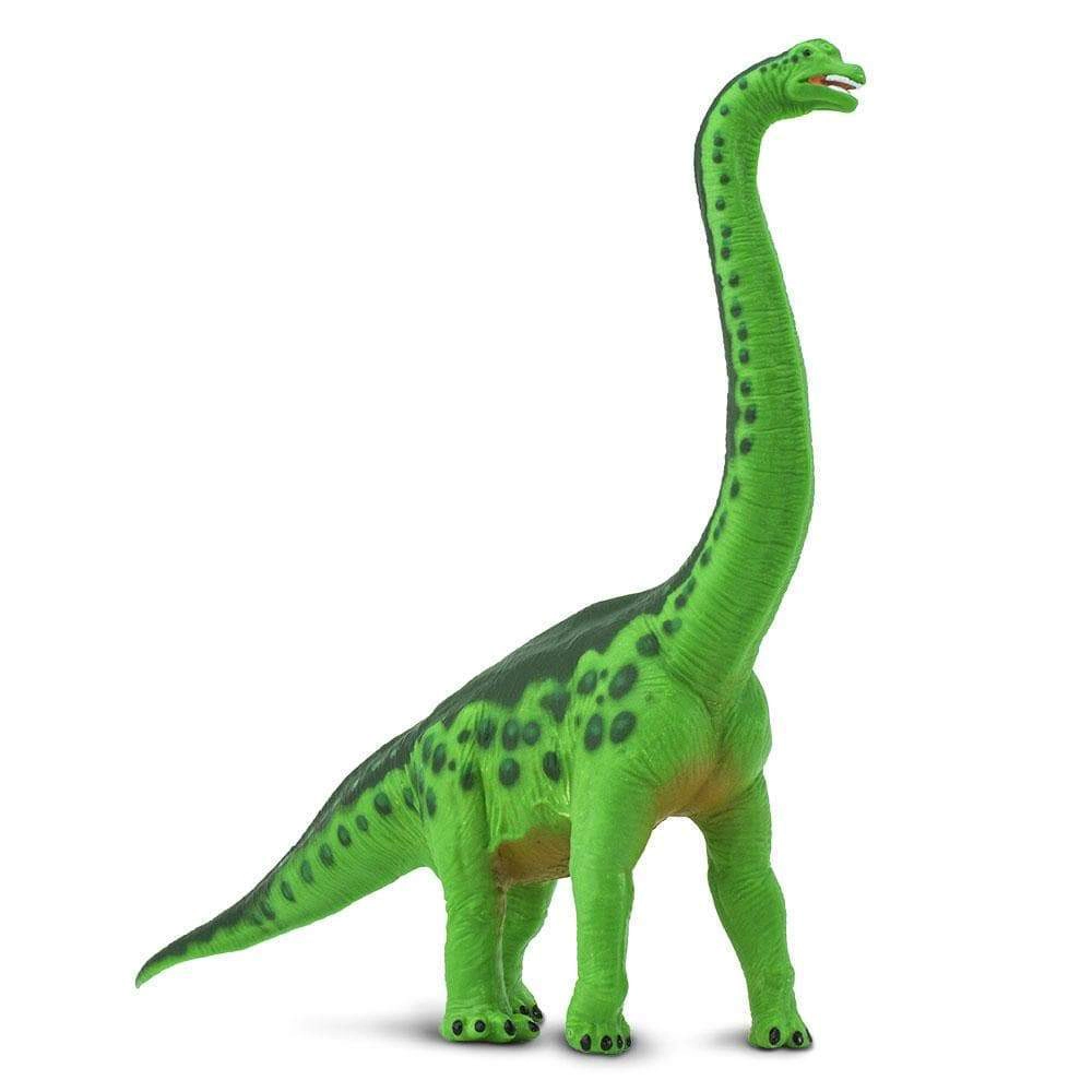 Safari Ltd. - Brachiosaurus Kids Prehistoric/Dinosaur Toy Figure