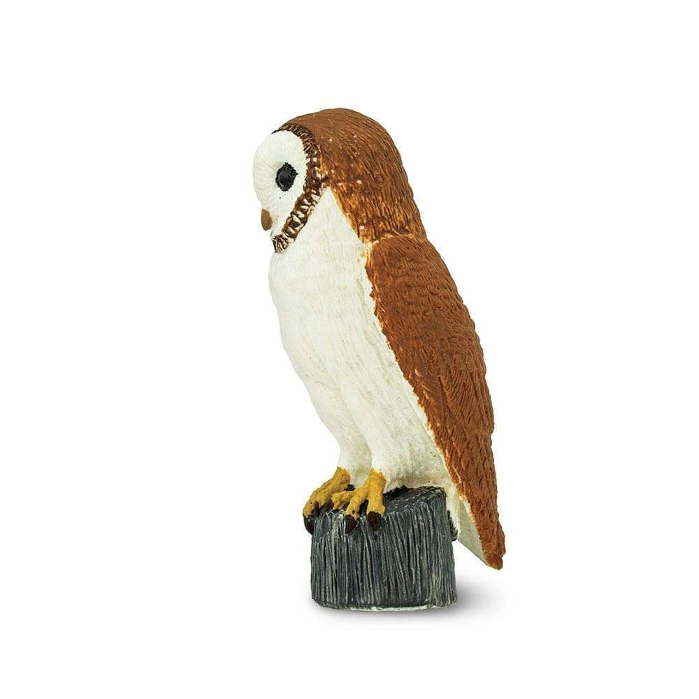 Safari Ltd. - Barn Owl Kids Toy Figure