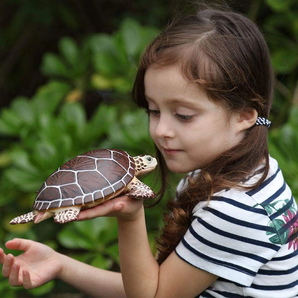 Safari Ltd. - Sea Turtle Kids Toy Figure