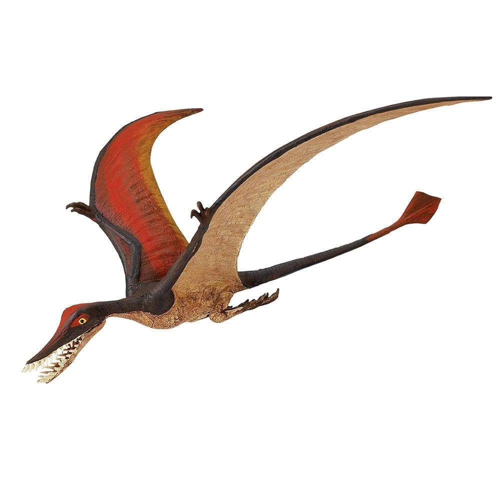 Safari Ltd. - Rhamphorhynchus Kids Prehistoric/Dinosaur Toy Figure