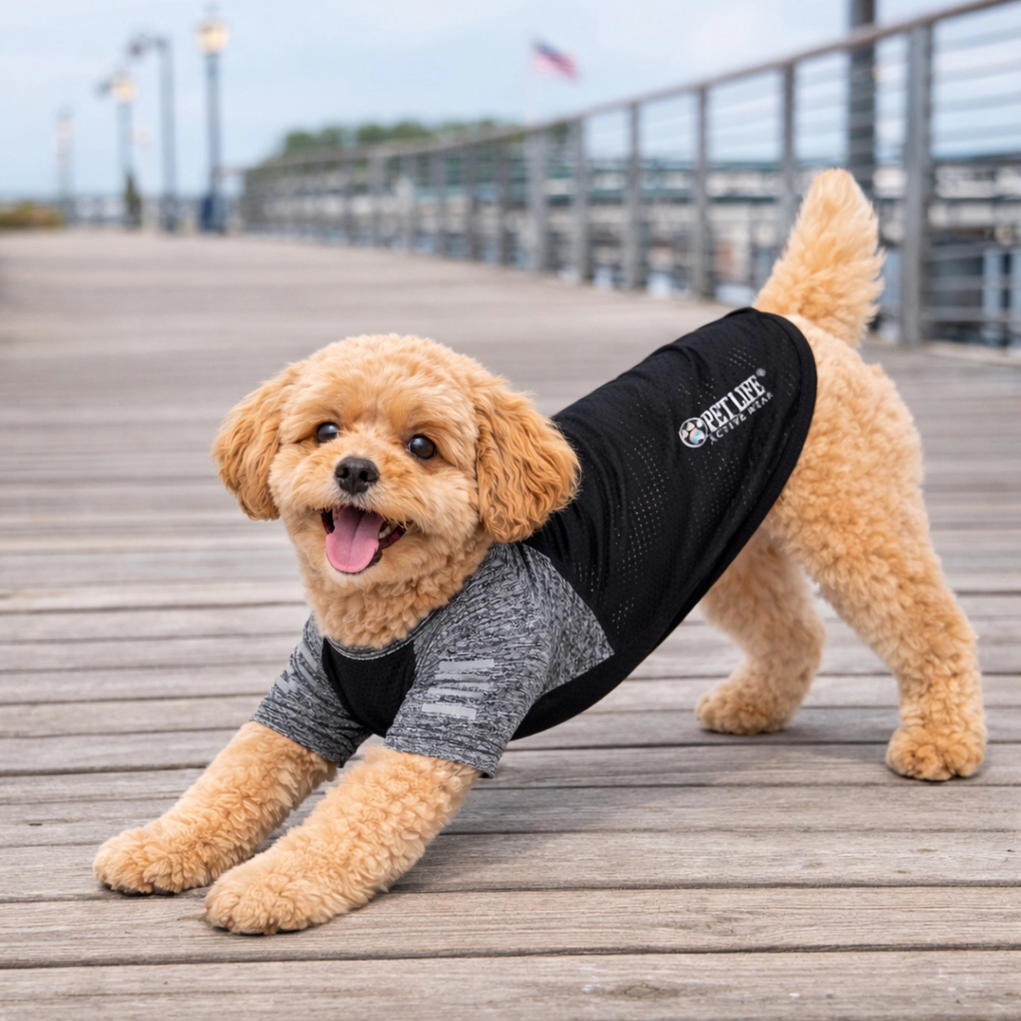 Pet Life ® Active 'Hybreed' 4-Way Stretch Two-Toned Performance Dog T-Shirt